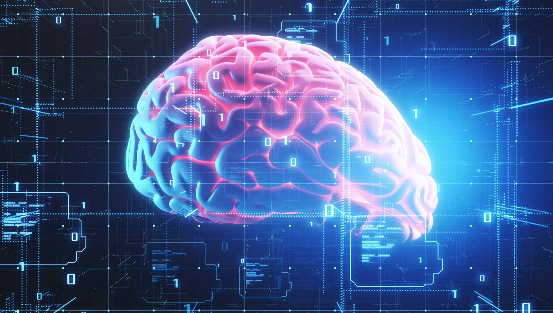Abbildung zeigt ein Gehirn beim e-Learning
